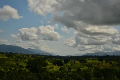 DSC_4384 (Large).JPG